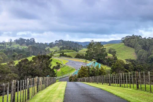 Top-House-Lodge-View-04